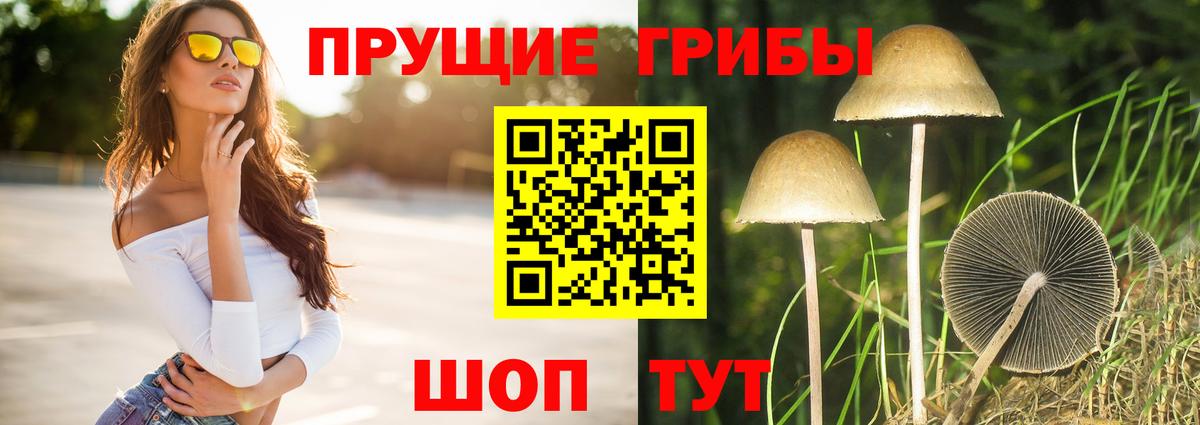 Галлюциногенные грибы прущие грибы Грозный